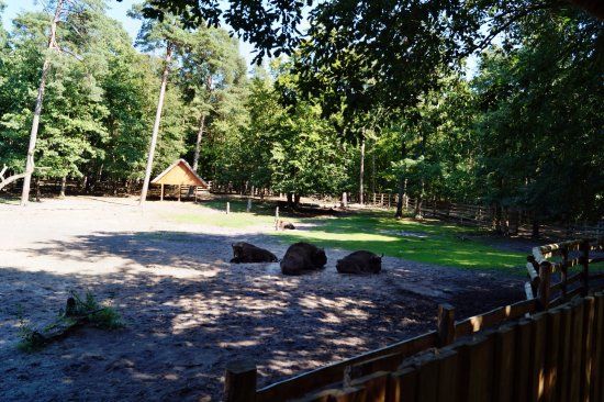 Wędrówki po Wolińskim Parku Narodowym